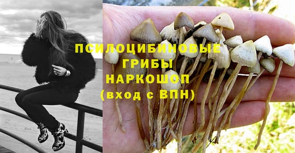 apvp Балахна