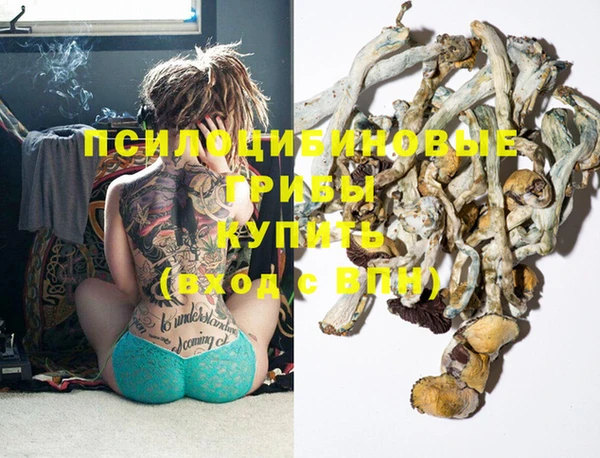 apvp Балахна
