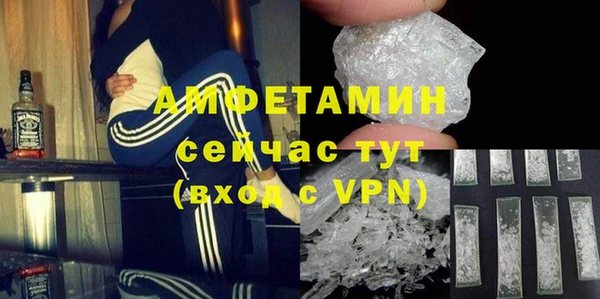 дмт Щигры