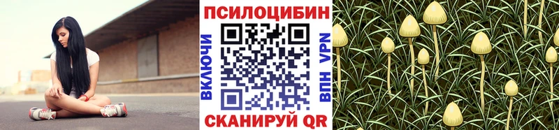 Псилоцибиновые грибы мицелий  Купить  Стародуб 