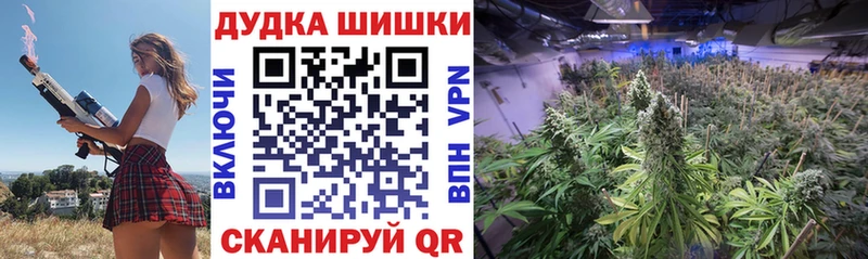 Купить закладки  Стародуб  Конопля White Widow 